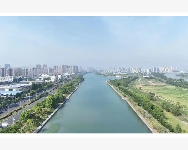 小动物的驱寒良方：中医的智慧传承