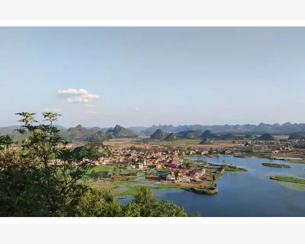 人参保肺丸：传统中医药中的化痰良方，你了解吗？